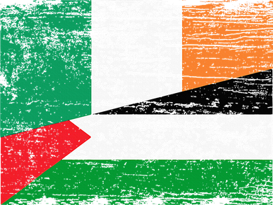 Ireland Palestine Flags Half Irish Half Palestinian Women's Dry Zone Grid Polo