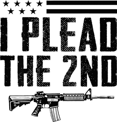 I Plead The 2nd Amendment Pro Gun Ar15 Rifle Kids Hoodie