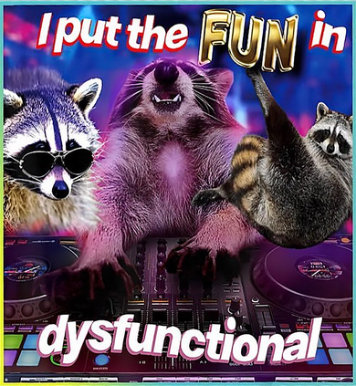I Put The Sun Dysfunctional Racoon Meme Coffee Mug
