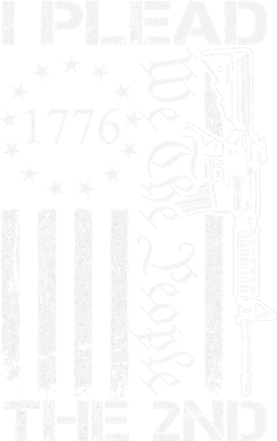I Plead The 2nd Amendment We The People Usa Ar15 Pro Gun Women's Dry Zone Grid Polo