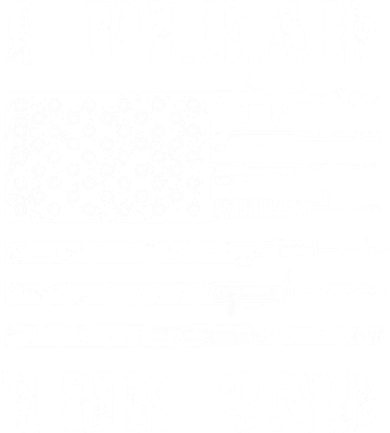 I Plead The 2nd Cute Gift Second Adt Funny Gift Pro Gun Gift Kids Hoodie
