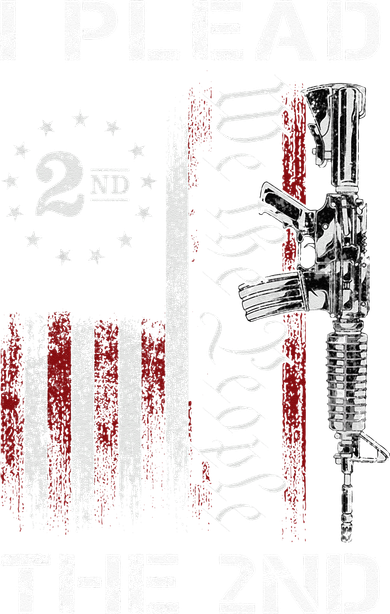 I Plead The 2nd We The People USA Flag AR 15 Rifle Kids Hoodie