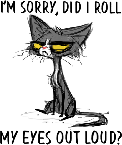 I'm Sorry Did I Roll My Eyes Out Loud, Funny Sarcastic Women's Hoodie