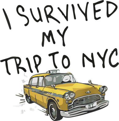 I Survived My Trip To NYC Coaster