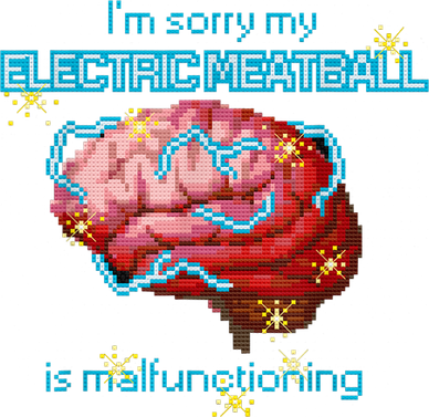 Im Sorry My Electric Meatball Is Malfunctioning Funny Brain Women's Hoodie