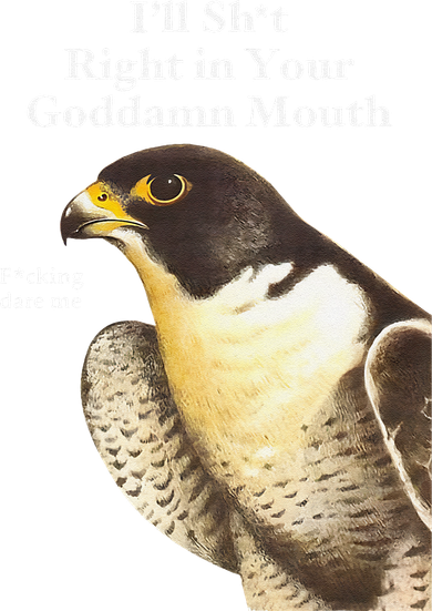 I’Ll Sht Right In Your Goddamn Mouth Funny Saying Quote Gift Toddler T-Shirt