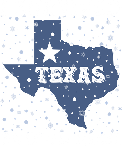 I Survived Snovid 2021Texas Snowstorm Coaster