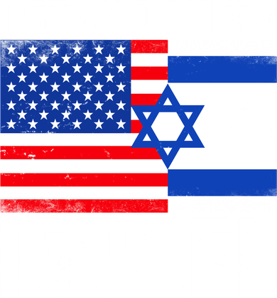 I Stand With Israel US Flags United Distressed Women's T-Shirt