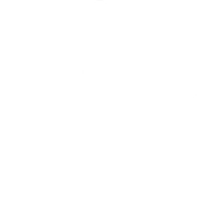 I Stand With That Woman From Michigan Women's Long Sleeve Shirt
