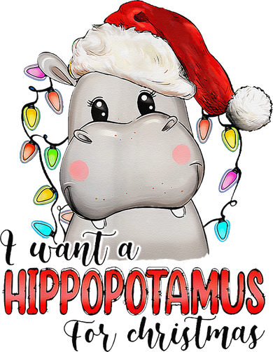 I Want A Hippopotamus For Christmas Xmas Women's Hoodie