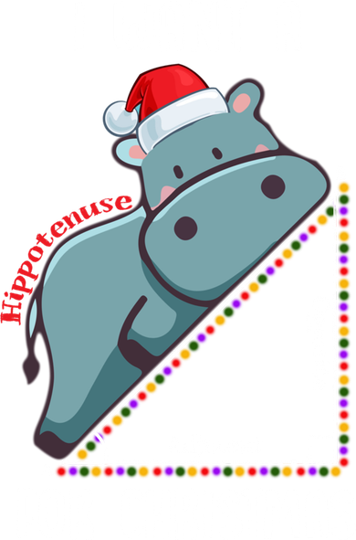 I Want A Hippotenuse For Christmas Math Teacher Xmas Hippo Gift Bucket Hat