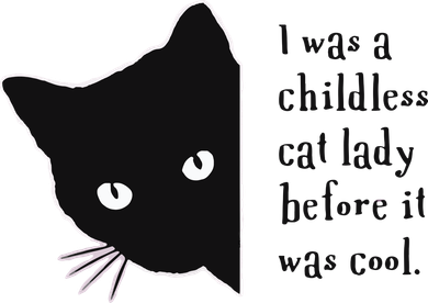 I Was A Childless Cat Lady Before It Was Cool Women's Hoodie