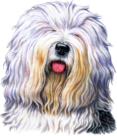 Old English Sheepdog Women's Long Sleeve Shirt