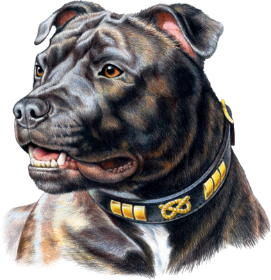 Stafford Bull Terrier Toddler T-Shirt