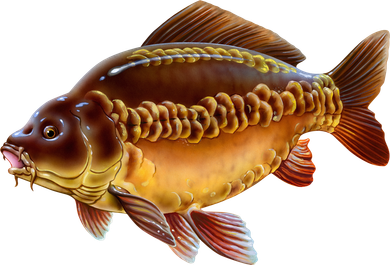 Carp Toddler T-Shirt