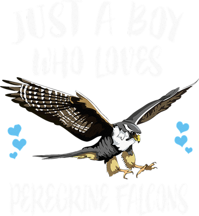 Just A Who Loves Peregrine Falcons Birds Button