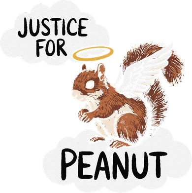 Justice For Peanut The Squirrel Toddler Hoodie