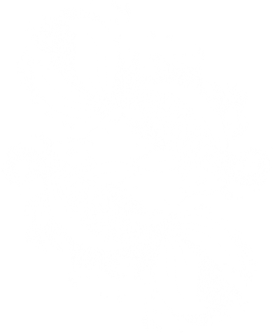 Japanese Koi Pisces Baby Bodysuit