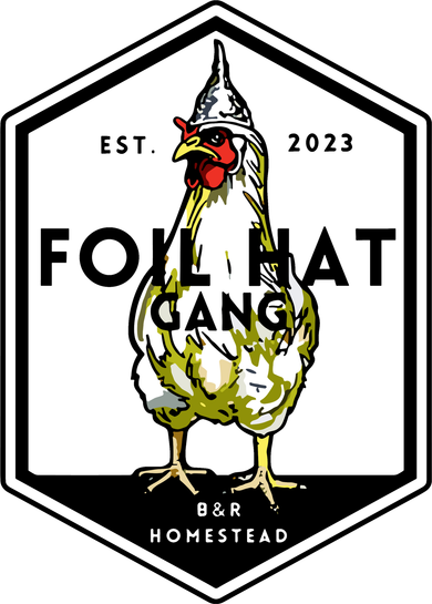 Jessica Rojas Foil Hat Gang Women's Hoodie