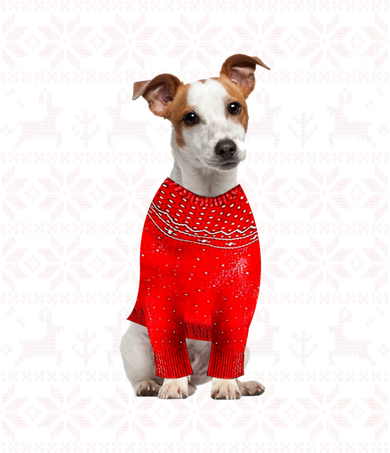 Jack Russell Terrier Ugly Sweater Christmas Meaningful Gift Funny Dog Gift Button