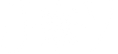 Joy Snowflake Christmas Women's T-Shirt