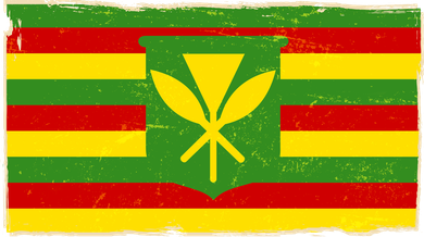 Kanaka Maoli Flag  Toddler T-Shirt