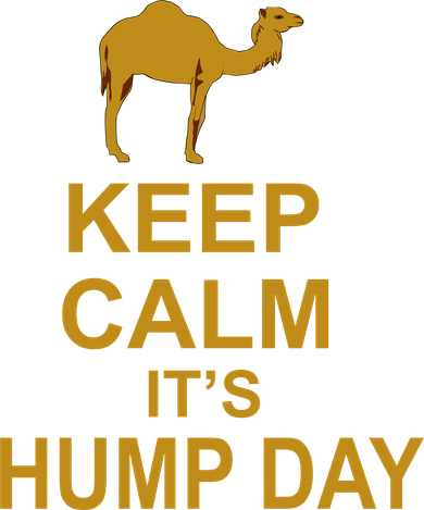 Keep calm, it's hump day Kids T-Shirt