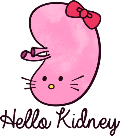 Kidney Disease Awareness Ney Transplant Donor Dialysis Gift Women's T-Shirt