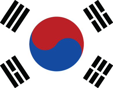 KOREAN FLAG OF KOREA Novelty Men Women Kids Gift Women's Long Sleeve Shirt
