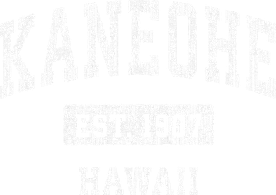 Kaneohe Hawaii Hi Vintage Established Kids Long Sleeve Shirt