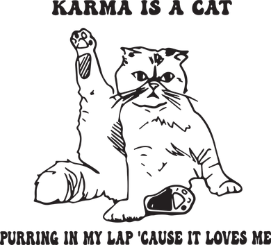 Karma Is A Cat Transport Backpack