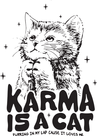Karma Is A Cat Shirts Taylor Eras Cat Lover Women's Hoodie