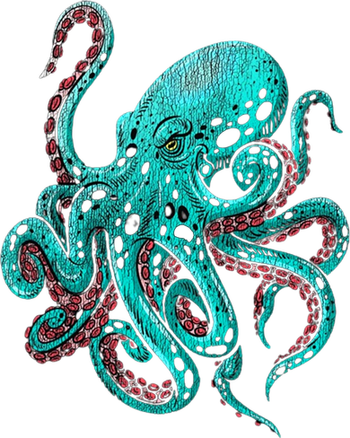 Kraken Octopus Gift Coaster