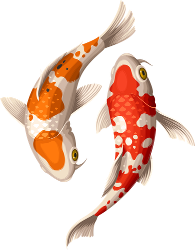 Swimming Koi Fishes Toddler Hoodie