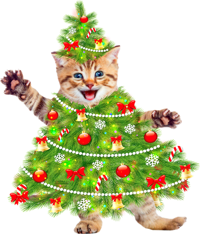 Christmas Tree Kitten Women's Dry Zone Grid Polo