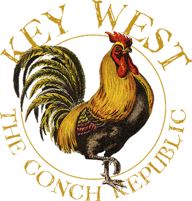 Key West Florida Vintage Rooster Design Souvenir Kids T-Shirt