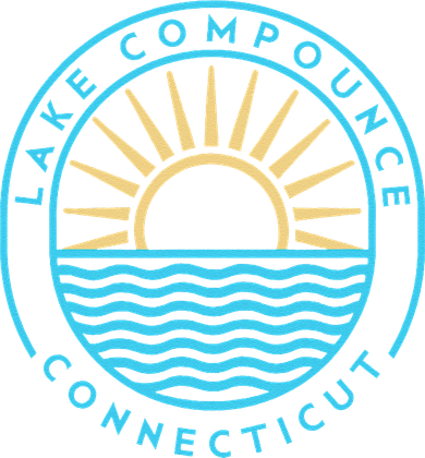 Lake Compounce Connecticut Outdoors Vintage Toddler Hoodie