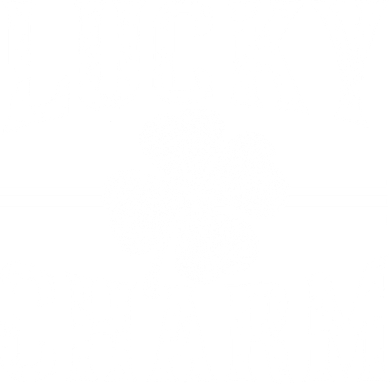 Lucky Charm Clover Hat