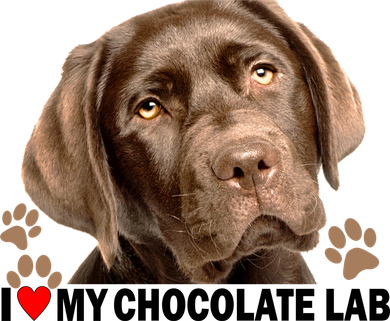 I Love My Chocolate Lab Bucket Hat