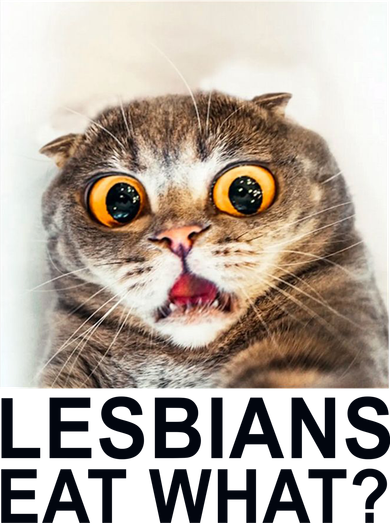 Lesbians Eat What Funny Cat Hat
