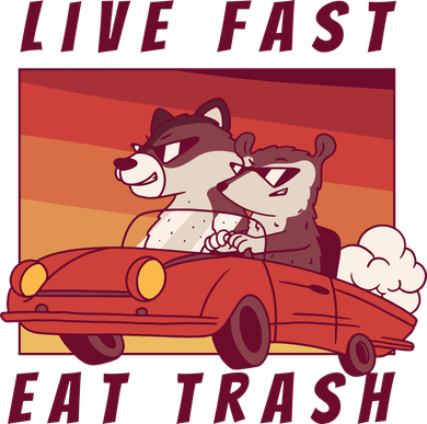 Live Fast Eat Trash Race Car Funny Raccoon Women's Hoodie