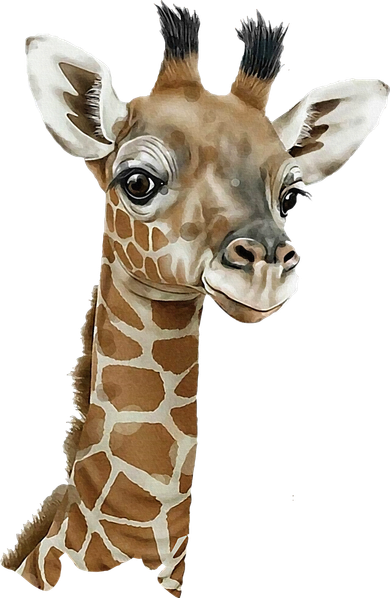 Love Giraffes Wo Giraffe Lovers Kids Sweatshirt