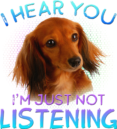 Long Haired Dachshunds I Hear You Not Listening Hat
