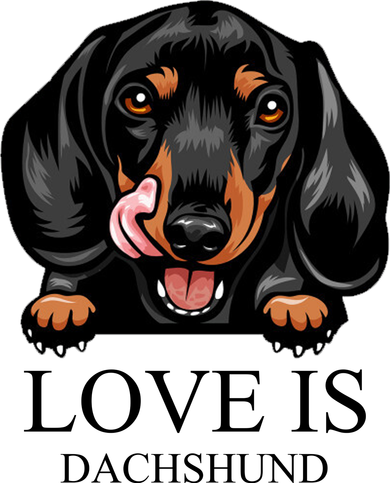Love Is Dachshund Baby Bodysuit