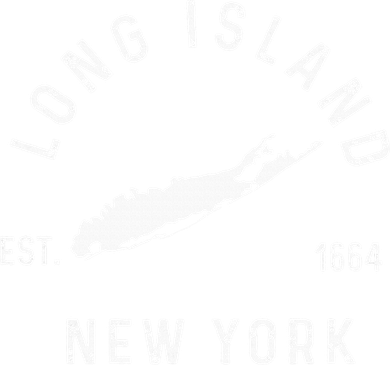 Long Island New York Ny Vintage Established Sports Doddie Hoodie