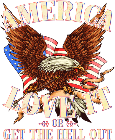 America Love It Or Get the Hell Out Button