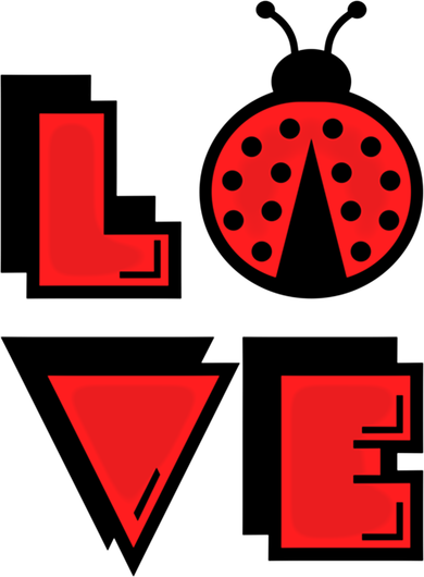 Love Ladybug Lady Bug I Love Ladybirds Lucky Insects Gift T-Shirt