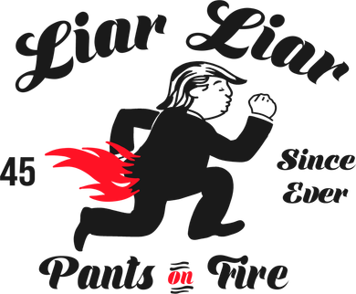 Liar Liar Pants On Fire Anti Trump Women's Long Sleeve Shirt