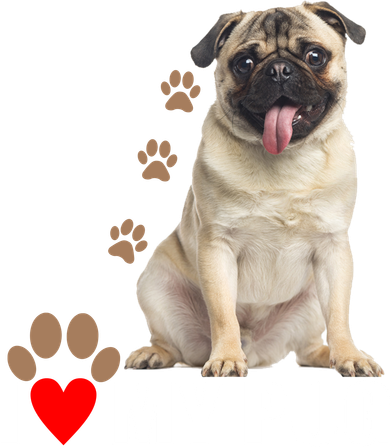 Dogs - I Love My Pug Baby Bodysuit