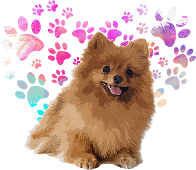 Love Pomeranian Hat